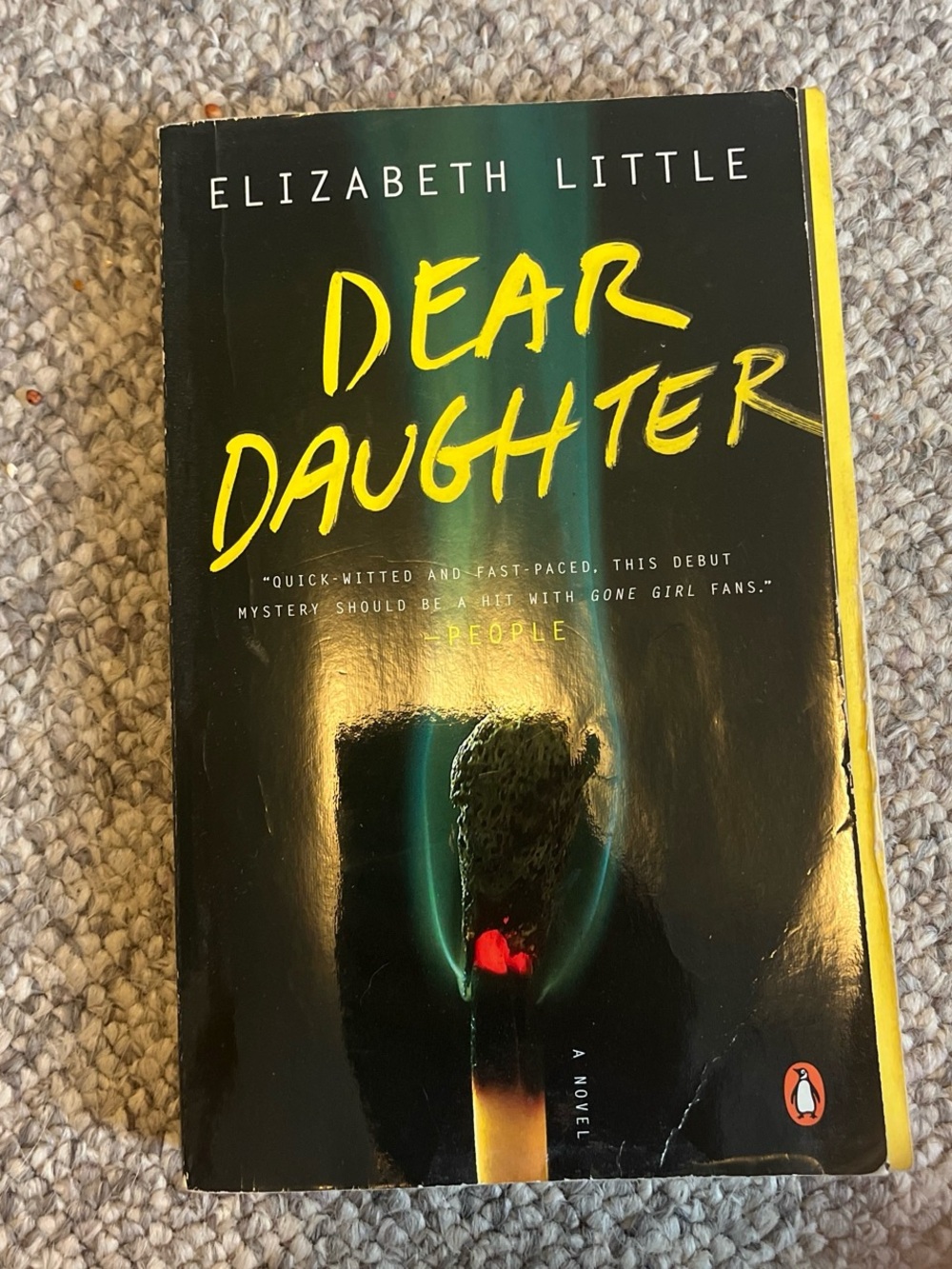 Elizabeth Little Dear Daughter Paperback Novel - Black & Yellow Cover